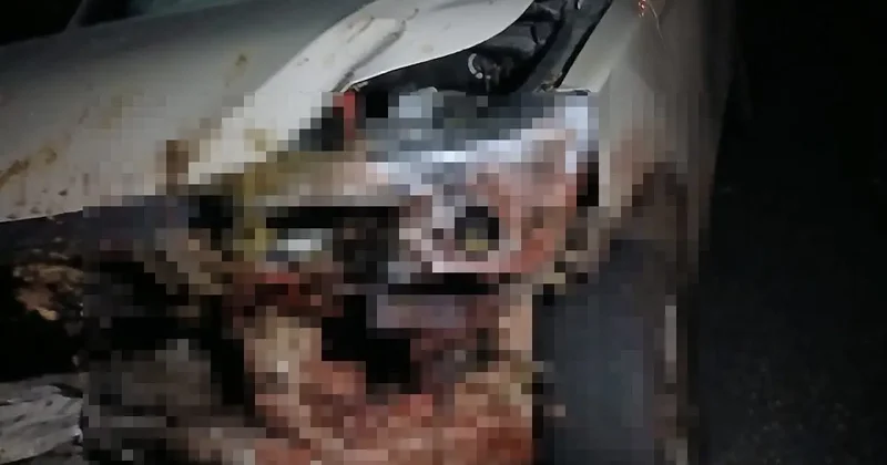 Elazığ’da kamyonet sürüye çarptı: 30 küçükbaş hayvan telef oldu