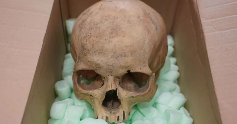 60 yıl önce Viyana Katedrali’nden kafatası çalan turist, ölmeden önce geri gönderdi