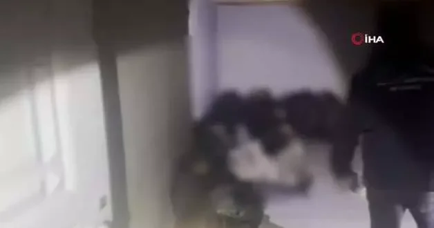 Sınırda nefes kesen operasyon: 24 düzensiz göçmen yakalandı