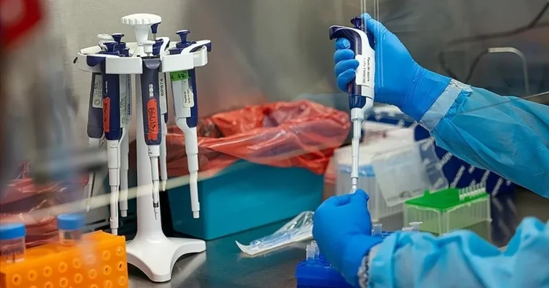 Yeni tehdit kapıda: Ölümcül virüs 4 kıtaya yayıldı Sözcü Gazetesi