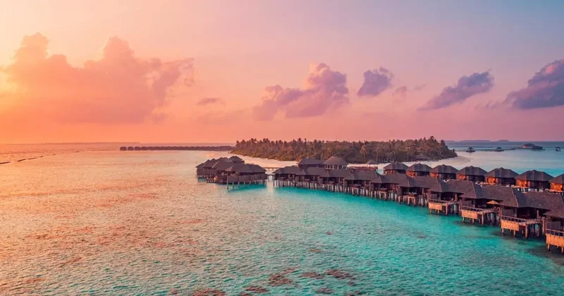 Nesiller boyu sigarayı yasakladılar! Dünya tarihinde bir ilk