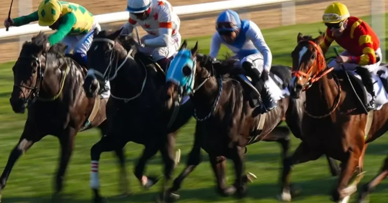 At yarışlarında Cumhuriyet ve Cumhurbaşkanlığı koşuları nefesleri kesti