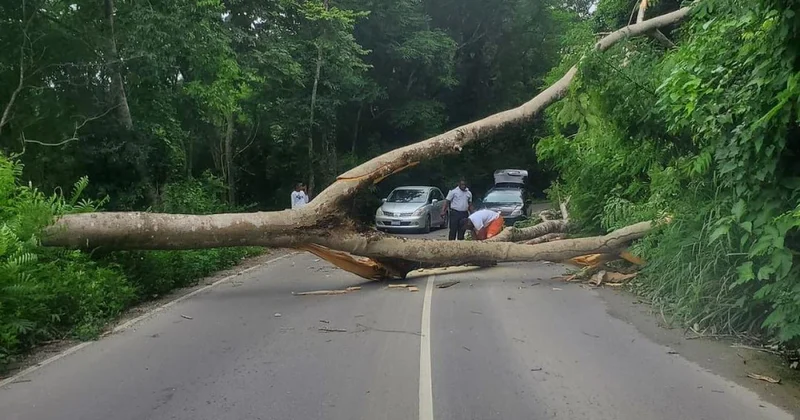 Türkiye den Karayipler de Melissa Kasırgası nda hayatını kaybedenler için taziye mesajı