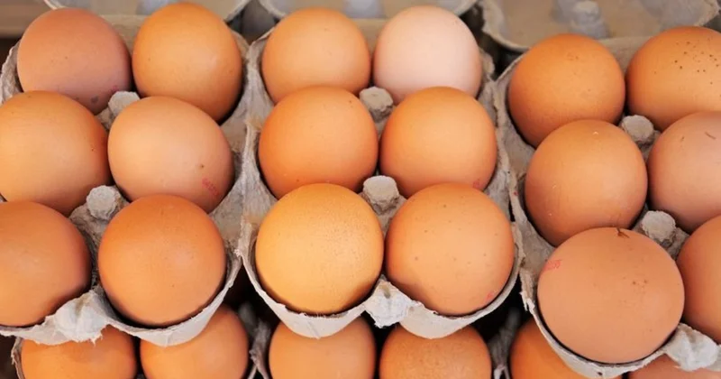 Yumurtayı asırlardır yanlış saklıyormuşuz: Bu yüzden bozuluyormuş Sözcü Gazetesi