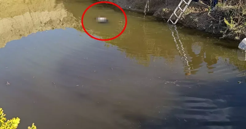 Antalya da sır olay: Su dolu çukurdan kadın cesedi çıktı!