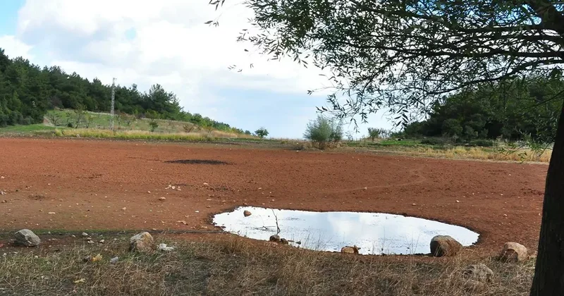 Sülüklü göl kurudu! Geçen yıl tankerlerle kurtarılmıştı: Bu yıl tamamen kurudu