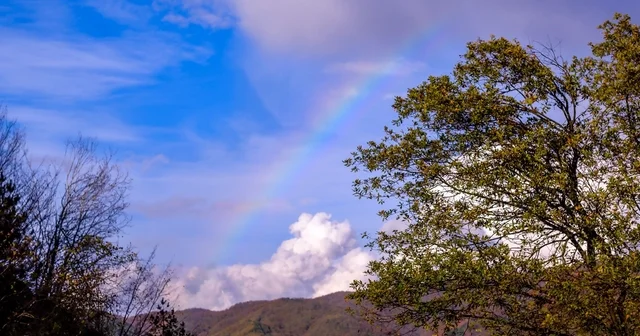 Yağıştan sonra gökyüzünde gökkuşağı oluştu Düzce Haberleri