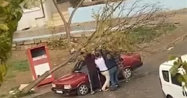 İzmir de park halindeki otomobilin üzerine ağaç devrildi İzmir Haberleri