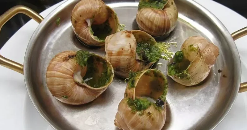 Fransa da bir çiftlikten 4 milyon TL değerinde salyangoz çalındı