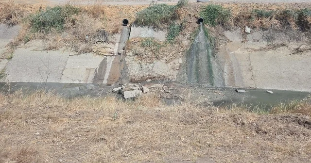 Çevreyi kirleten işletme hakkında yasal işlem başlatıldı Manisa Haberleri