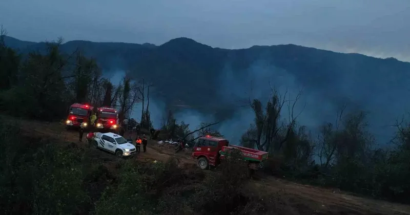 Hopa’daki orman yangını söndürüldü, soğutma çalışmaları sürüyor