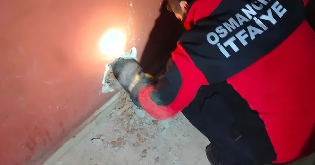 Havalandırma boşluğuna düşen kediyi itfaiye kurtardı Çorum Haberleri