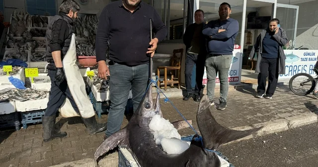 138 kiloluk kılıç balığı ilgi odağı oldu Hatay Haberleri