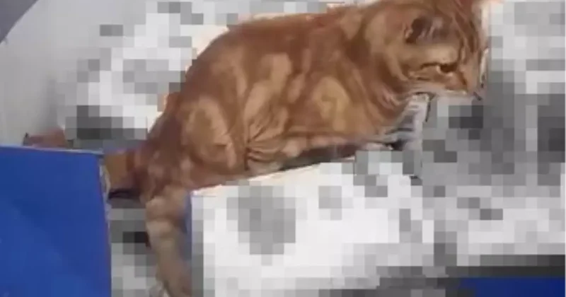 3 harfli zincir markette büyük rezillik! Görenin midesi bulandı