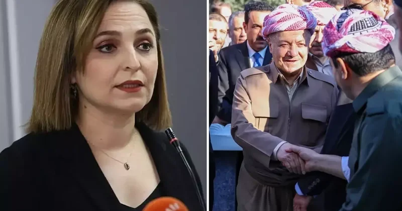 DEM Partili Ayşegül Doğan: Barzani nin Cizre ziyareti tarihi önemdeydi ancak biz yok sayıldık