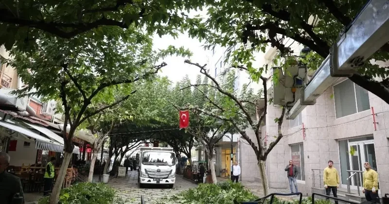 İncirliova Sevgi Yolu’ndaki ağaçlara bakım