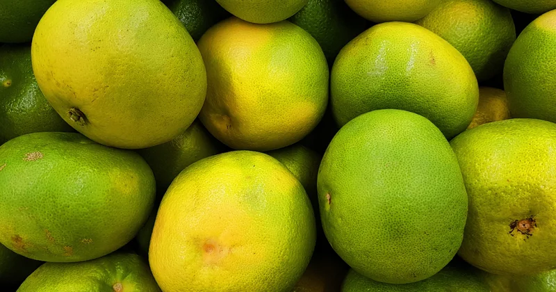 Ekşi mandalinaları 15 dakikada tatlılaştıran az kişinin bildiği basit bir numara Sözcü Gazetesi