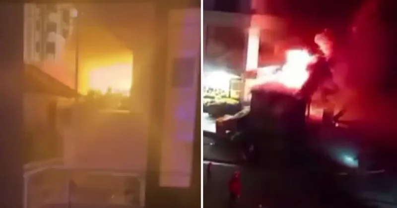 Elektrik direğine tırmanan ayı, zorlukla indirildi