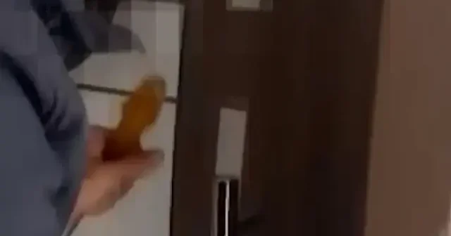 Kırıkkale’de film gibi operasyon: Firari hükümlü mutfak dolabında yakalandı VİDEO İZLE