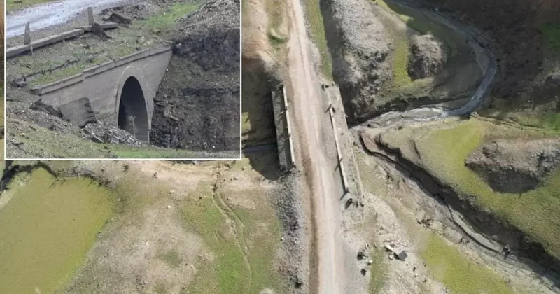 Yalova daki Gökçe Barajı nda Su Seviyesi Düştü, Tarihi Çınarlı Hıyabanı Ortaya Çıktı