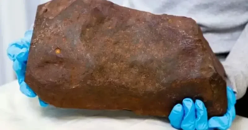 Altın sandı meteor çıktı Dünya Haberleri