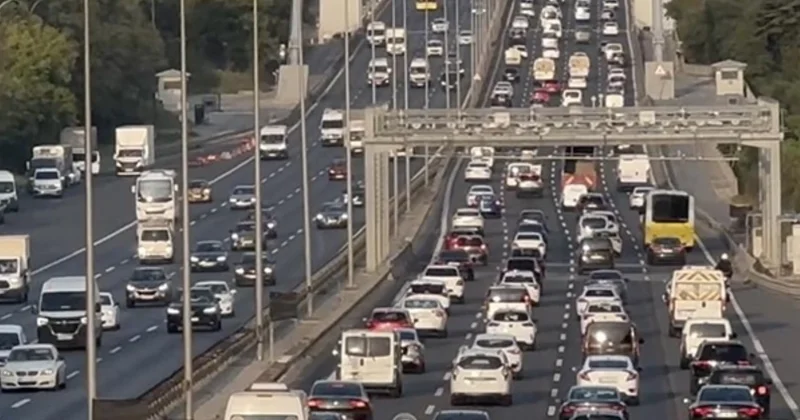 İstanbul un baş belası o şehrimize de sıçradı: Tam 150 bin tanesi aktif Sözcü Gazetesi