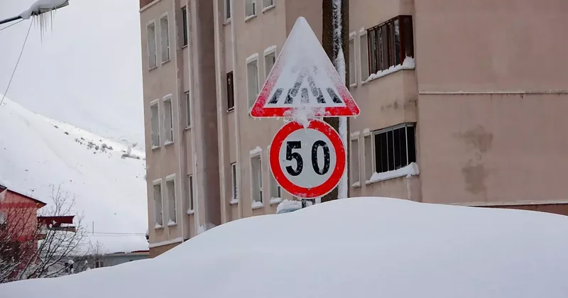 Acil sağlık ekipleri, 41 yıldır taşıdıkları Hızır ismine uygun şekilde görev yapıyor