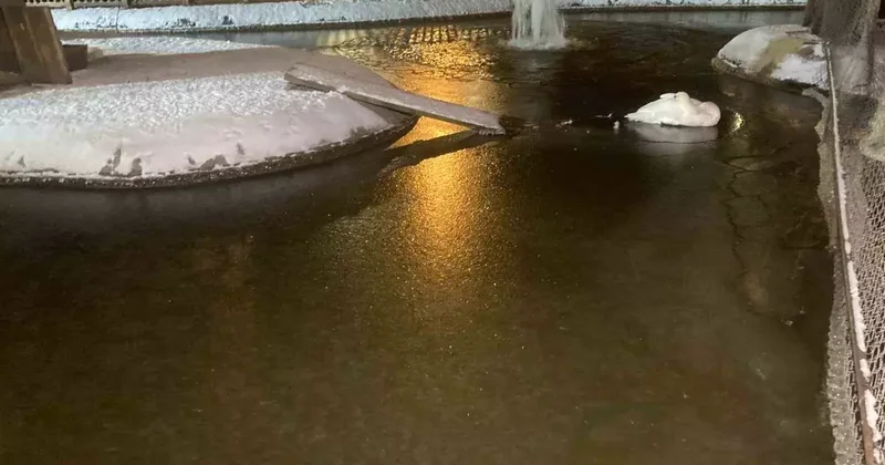 Ankara adeta buz kesti! Kar yağışı sonrası eksi 11 dereceye kadar düştü