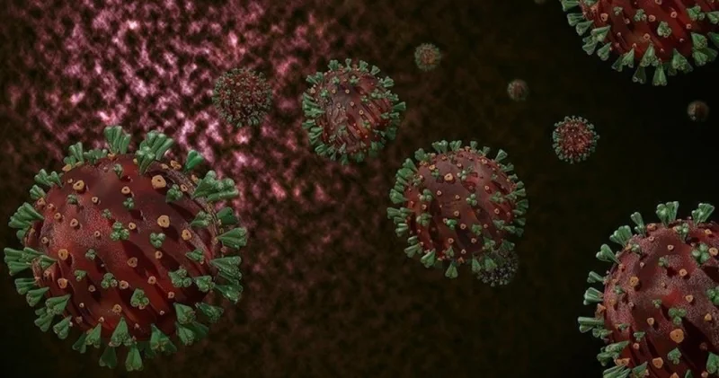 Küresel ısınma influenza virüsünü de etkiledi! Yayılım aralık ayına sarktı Sağlık Haberleri