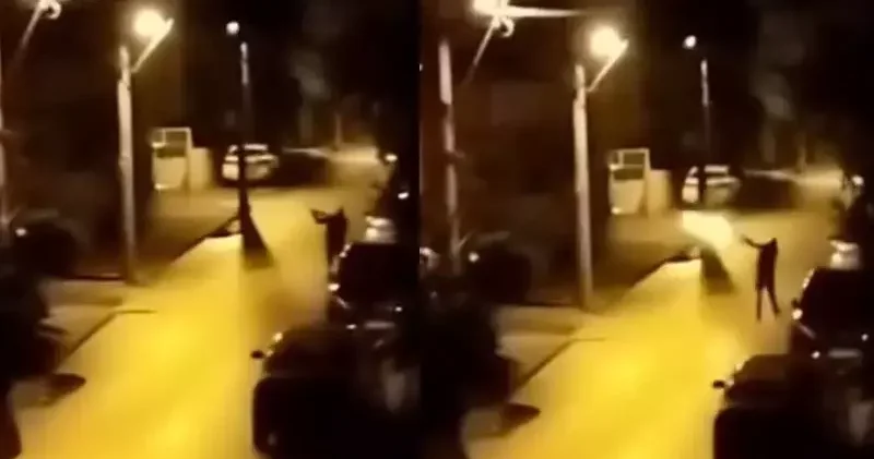 Yılbaşında sokakta tüfekle havaya ateş açan şüpheliye gözaltı