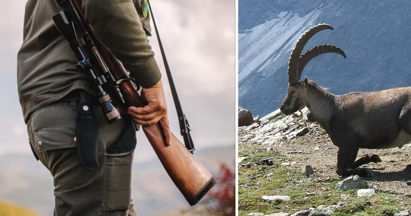 Mersin ve diğer iki ilde yasak avcılık yapan 3 şahıs yakalandı: Yaklaşık 3 milyon lira ceza kesildi Mersin Haberleri