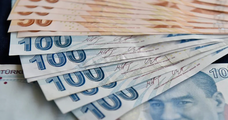 Engelli ve eski hükümlü hibe destekleri artırıldı