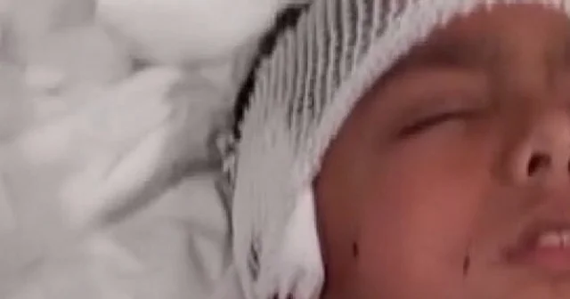 Okul dönüşü dehşet yaşadı: Sahipsiz köpeklerin saldırısına uğrayan Davut canını zor kurtardı VİDEO İZLE