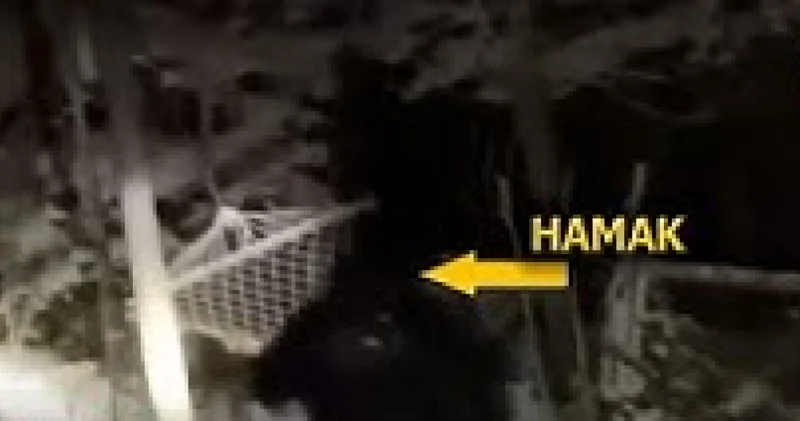 Hamak keyfi izini belli etti!