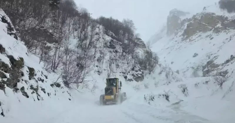 AFAD alarm verdi: 28 ilde çığ tehlikesi! Vatandaşlara sms gönderildi