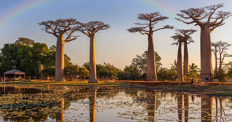 Sekizinci kıta deniyor: Canlıların yüzde 90 ı sadece burada yaşıyor Sözcü Gazetesi