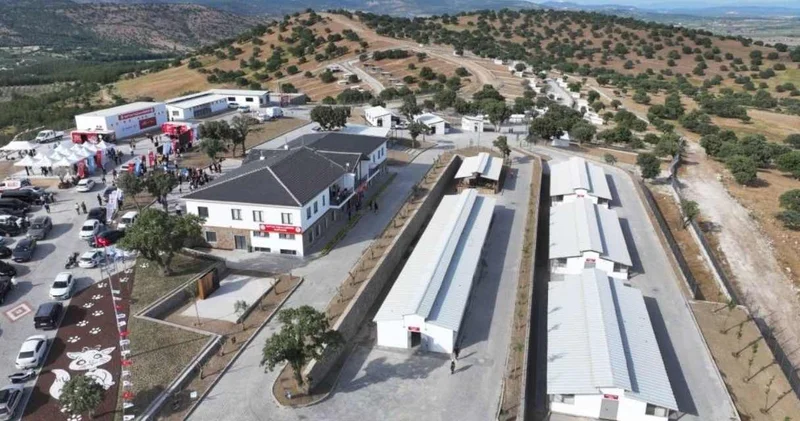 Özgür Özel devreye girdi: Tartışmaların odağındaki hayvan barınağı kapatılıyor!