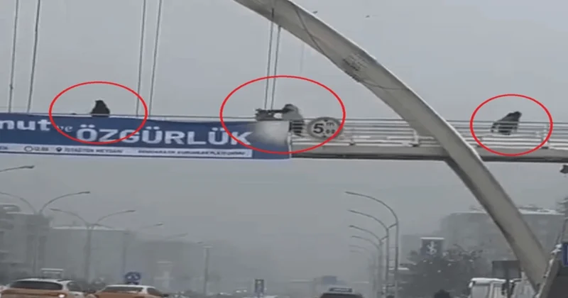 Üst geçitte çocukları yumruklayıp, tekmeledi Sözcü Gazetesi