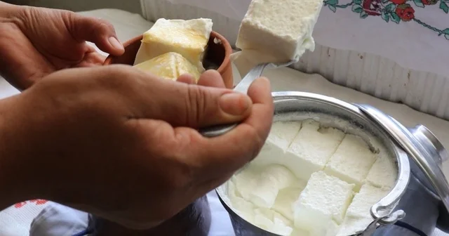 Bartın ın meşhur manda yoğurdu Kültürel Miras listesine eklendi Bartın Haberleri