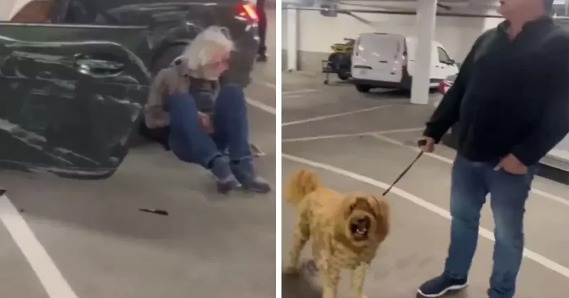 Yaşlı adamın yaptığı hem köpeğin hem de sahibinin ağızlarını açık bıraktı