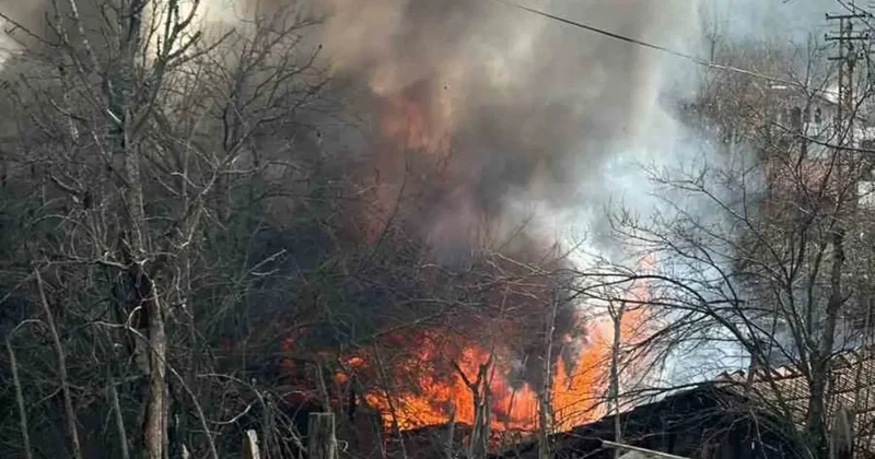 Karabük’te müştemilat yangını: 2 yavru köpek can verdi