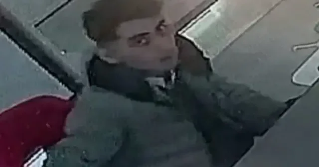 İş başvurusuna geldiği mağazada müdürün cep telefonunu çaldı: Kaydedildiğini görünce teslim oldu VİDEO İZLE