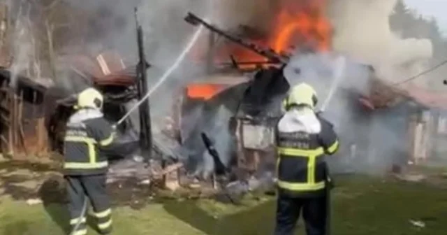 Ahırda çıkan yangında 2 köpek öldü Karabük Haberleri