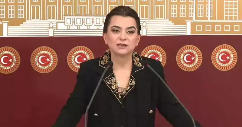 DEM Parti li Koçyiğit: Barış yasaları ivedilikle çıkmalı