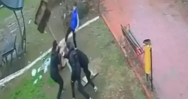 Adana da gençler içinde kuş bulunan yuvayı söktü VİDEO İZLE