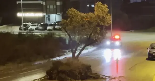 Sel suları kökünden söktüğü zeytin ağacını yola sürükledi VİDEO İZLE