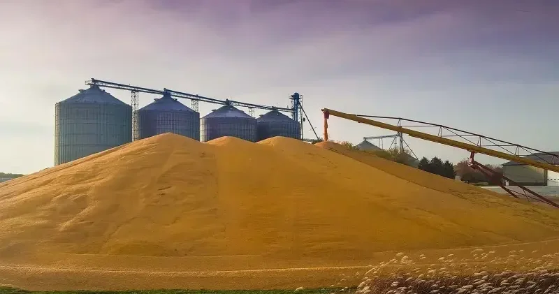 Şanlıurfa da mısır dolu siloya düşen işçi hayatını kaybetti Şanlıurfa Haberleri