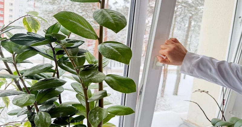 Pencerelerinizi günde 2 kez açın çağrısı Sözcü Gazetesi