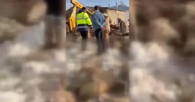 Sivas haberleri Sivas ta besiciyi kahreden manzara: 40 koyun telef oldu 02 Şubat 2026