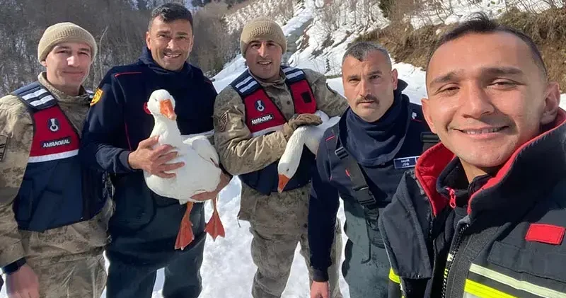 Kaybolan kazları ekipler buldu